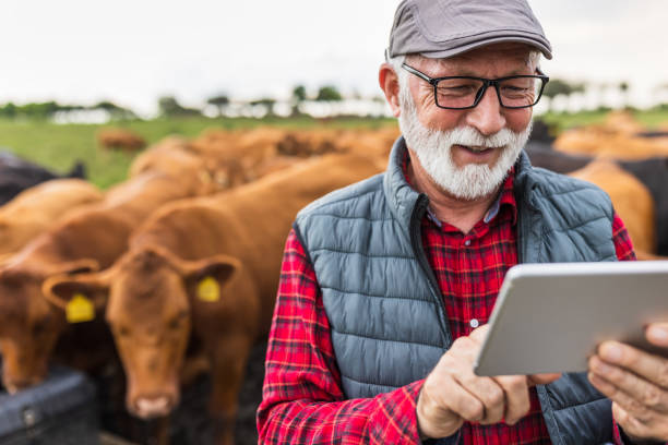 istock Farmer with tablet standing in front of cows 1534483825