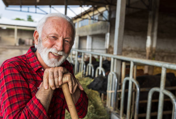 istock Farmer resting in front of cows on farm 1534485965