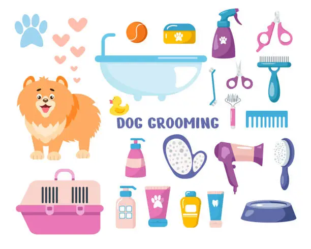 Vector illustration of A pomeranian dog and its care products. Dog care. Grooming