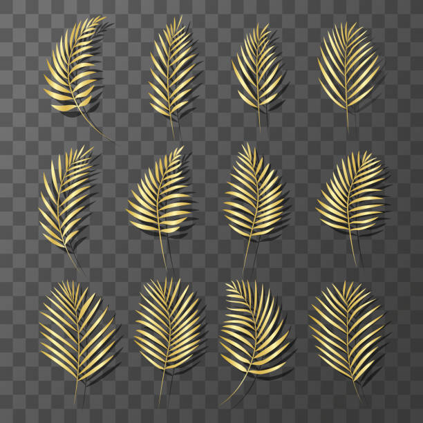 пальмовые листья из золота. набор золотых листьев. - palmleaf stock illustrations
