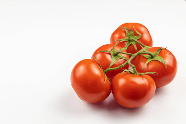 istock A sprig of fresh, beautiful, red tomatoes isolated on a white background. 1534518804