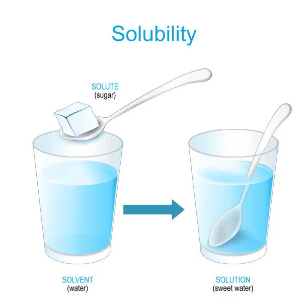 Vector illustration of Solubility. Solutions and mixture. experiment with sugar and glass of water.