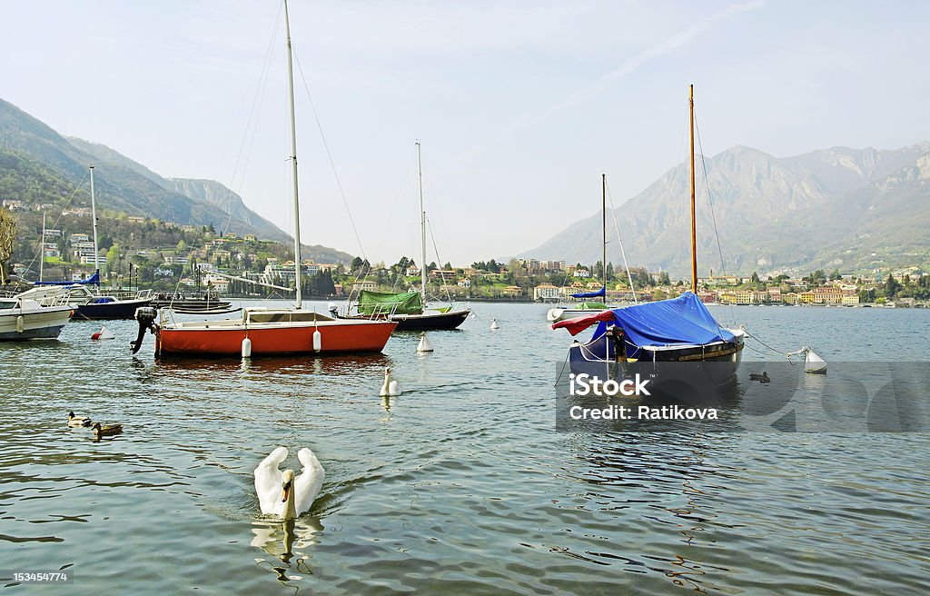 Um lago. - Foto de stock de Alpes europeus royalty-free