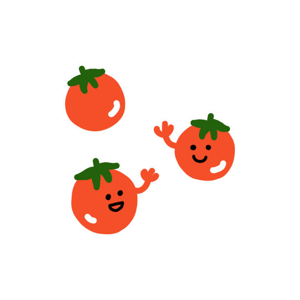ilustrações, clipart, desenhos animados e ícones de ilustração plana colorida do personagem do tomate cereja. - cherry tomato tomato white background vegetable
