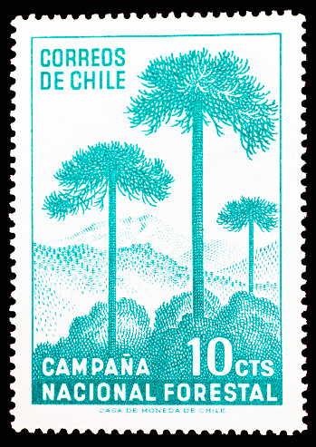 CHILE - CIRCA 1967: a stamp printed in Chile, shows three tree with mountains and flora,  circa 1967