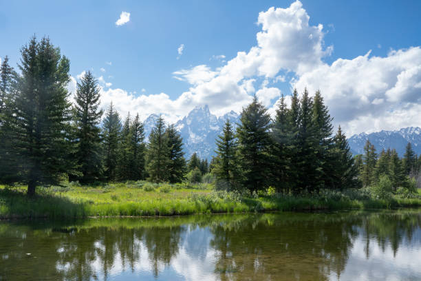 istock Grand Teton National Park 1534596865