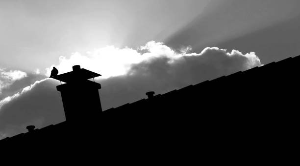 This photo was shot in late May 2023, in Dusseldorf, Germany; Depicts the silhouette of building's rooftop, with the sunlight and clouds in the background; And has been optimized for graphic applications, such as backgrounds, websites, covers and posters.