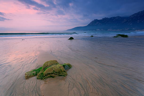 istock Beach rock and seaweed 153467369