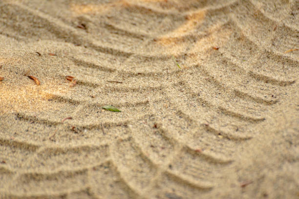 Vehicle tire tracks on the sand