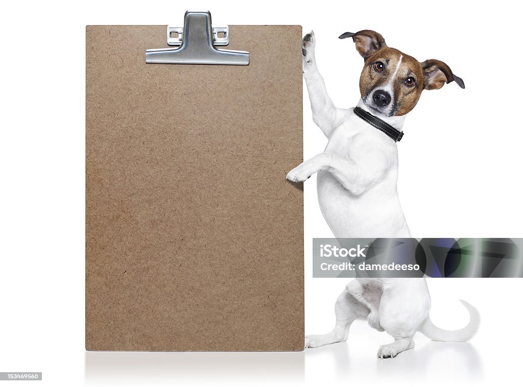 dog with a wood board dog holding a blackboard Animal Stock Photo