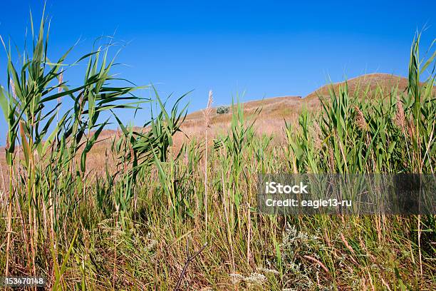Green Hills I Blue Sky - zdjęcia stockowe i więcej obrazów Bez ludzi - Bez ludzi, Bezchmurne niebo, Boisko