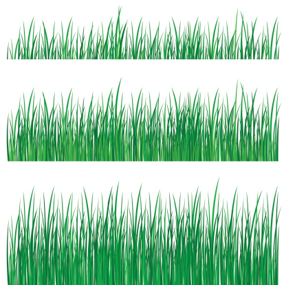 vector set of green grass on white. JGP with isolated path