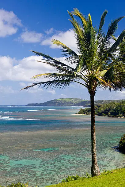 Photo of Sealodge and anini beach in Kauai