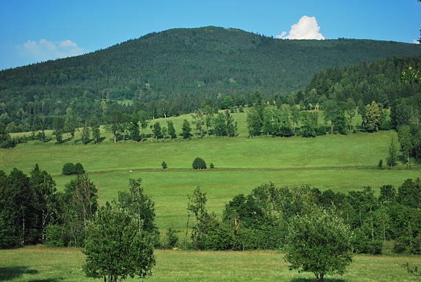 Mountain view stock photo