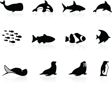Set of simple icons for sea marine life. Includes a JPG, and a transparent PNG.