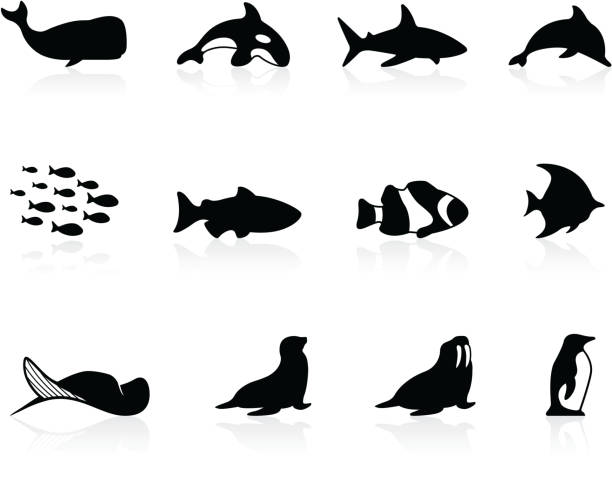 Sea life Set of simple icons for sea marine life. Includes a JPG, and a transparent PNG. fish silhouettes stock illustrations
