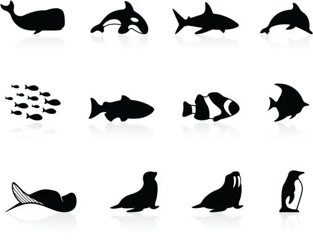 Vector illustration of Sea life