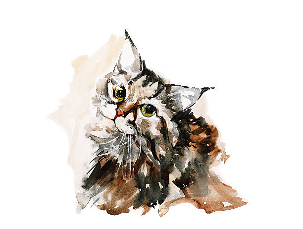 istock Portrait of a siberian cat 153472779
