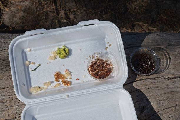 istock one white open plastic box with pieces and leftovers of old food 1534730782