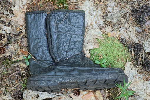 one old black torn leather boot lies on the ground on dry gray leaves and green moss outdoors in nature