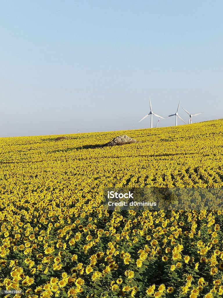 wind farm naturaleza turbinas de energía eléctrica de - Foto de stock de Aerogenerador libre de derechos