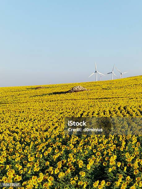 Wind Farm Naturaleza Turbinas De Energía Eléctrica De Foto de stock y más banco de imágenes de Aerogenerador