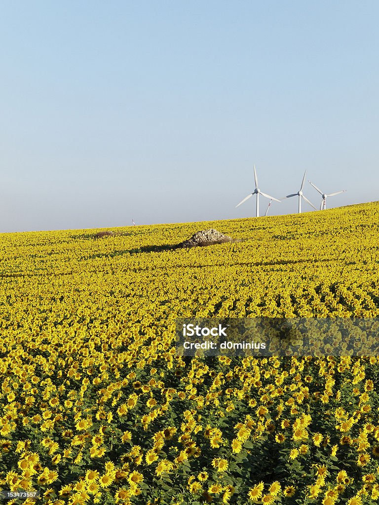 Fattoria di turbine a vento di energia elettrica di natura - Foto stock royalty-free di Agricoltura