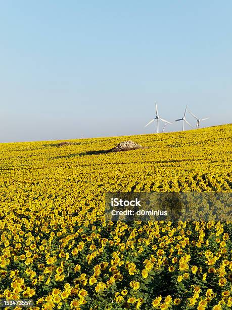 Natureza De Exploração De Vento Turbinas De Energia Energia Eléctrica - Fotografias de stock e mais imagens de Agricultura