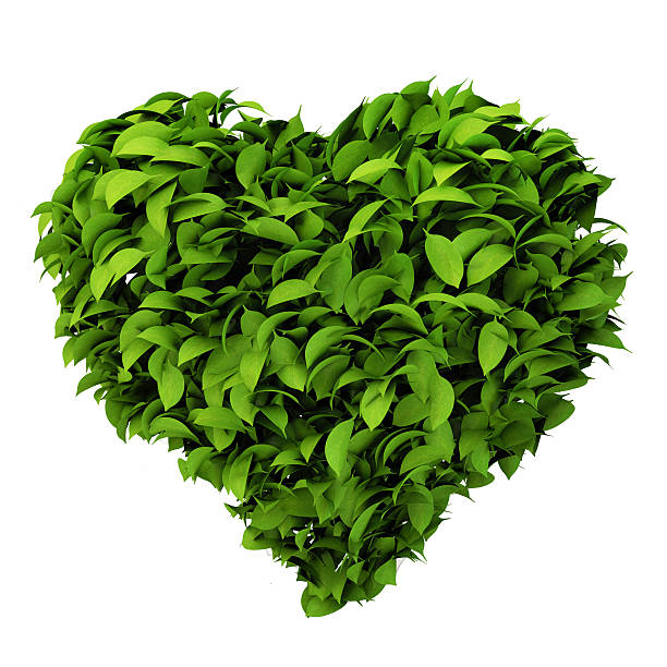 istock heart symbol made of leafs 153473667