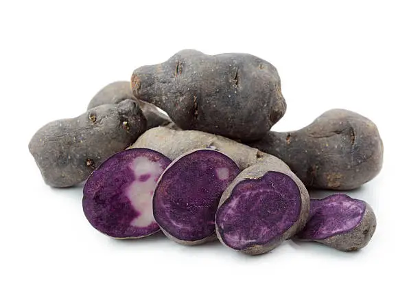 Vitelotte blue-violet potato isolated on white background