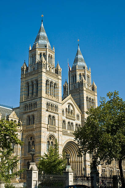 istock Natural History Museum at London 153475908