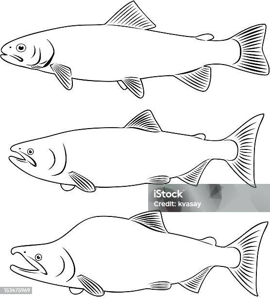 Red Fish Stock Illustration - Download Image Now - Coho Salmon, Trout, Animal