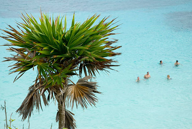 istock People having a bath in the caribbean sea, Tulum 153477224