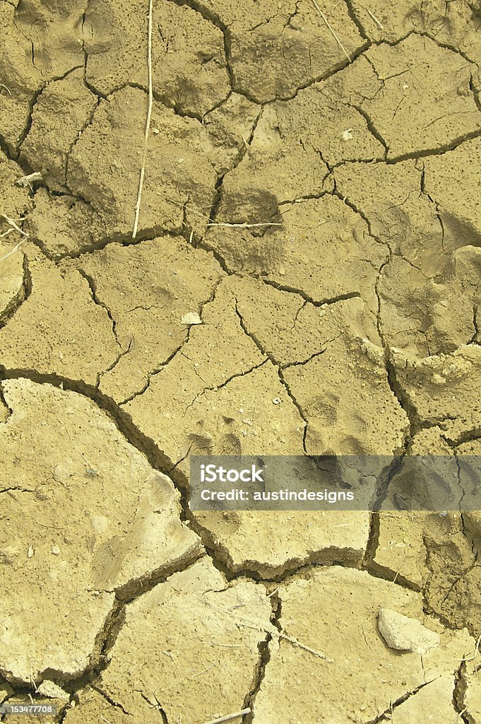 경견 기체상태의 사막 - 로열티 프리 가뭄 스톡 사진