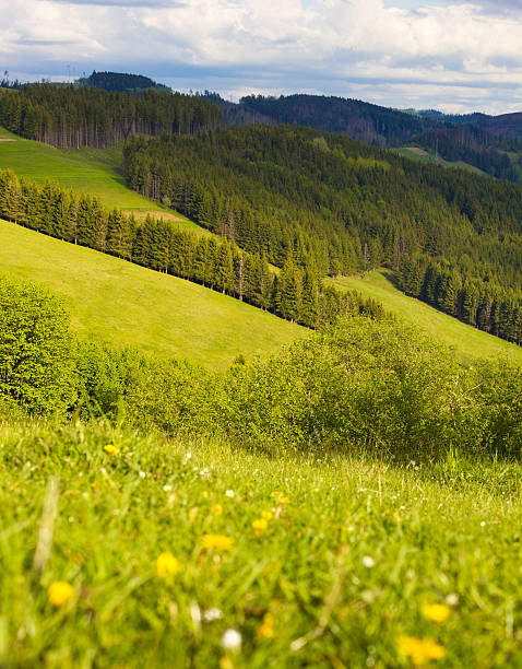 Astonishing beauty of Carpathian mountains stock photo