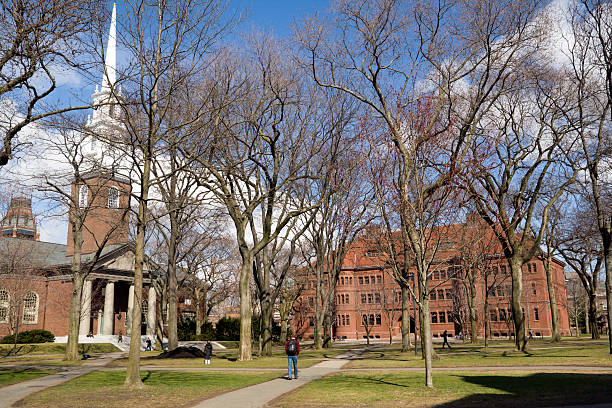 ir para a primeira classe - harvard university - fotografias e filmes do acervo