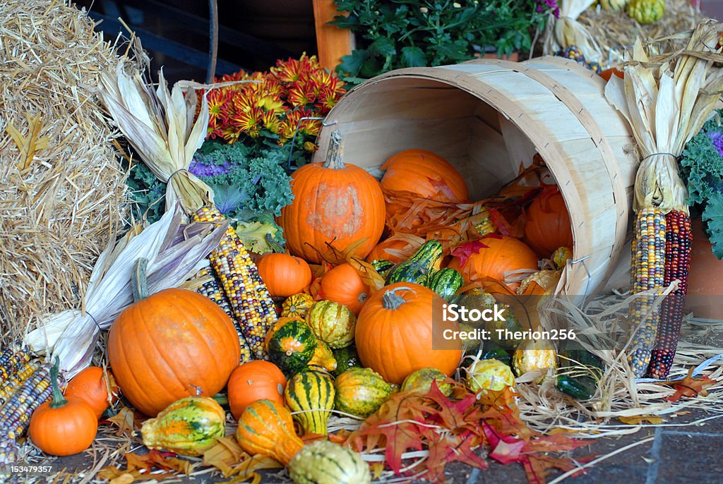 Colheita de outono - Foto de stock de Abóbora Gigante royalty-free