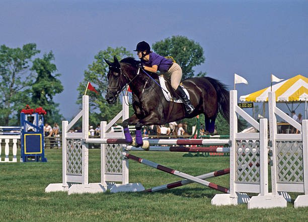 istock Horse-Show jumping 153480474