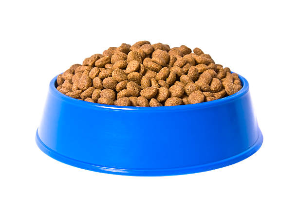 A blue bowl of food for a cat  Pet's Meal in a Blue Plastic Bowl Isolated on White Background dog bowl photos stock pictures, royalty-free photos & images