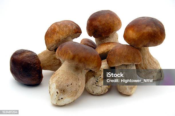 Photo libre de droit de Pilze banque d'images et plus d'images libres de droit de Aliments et boissons - Aliments et boissons, Bolet, Champignon comestible