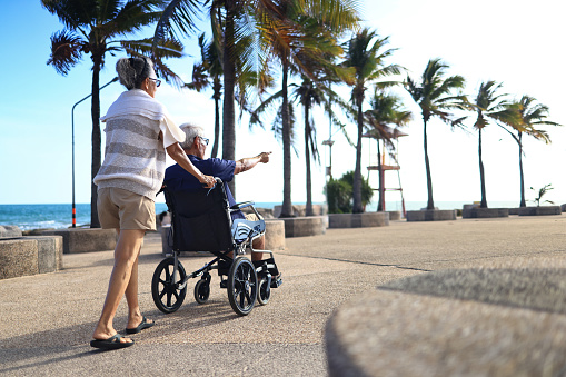 an elderly couple contemplating the sea. The man is sitting in a wheelchair and the woman is taking care of him.