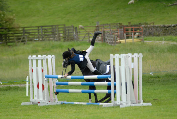 Rider falling from horse Horse refusing jump 2 of 3 equestrian show jumping stock pictures, royalty-free photos & images