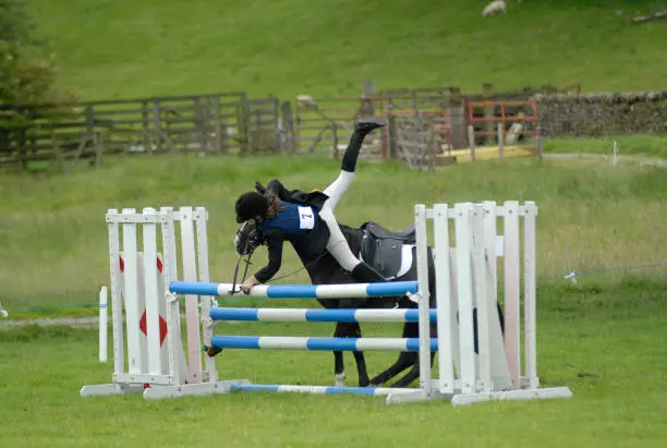Horse refusing jump 2 of 3