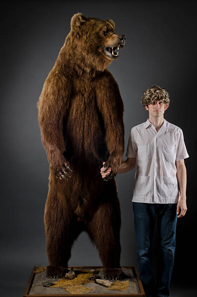 istock Man Holding Hands with Grizzly Bear 153481592