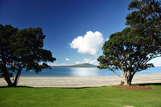 Rangitoto through the trees Rangitoto though the trees, Auckland, New Zealand Waitemata Harbor stock pictures, royalty-free photos & images