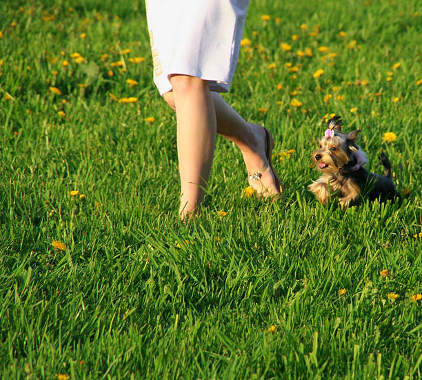 istock girl with dog 153482180