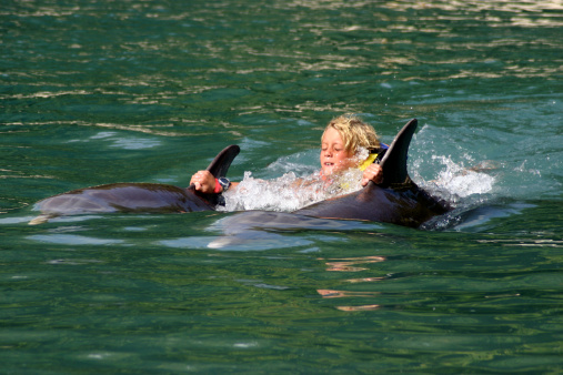 Boy swims with dolphins on tropical island vacation.