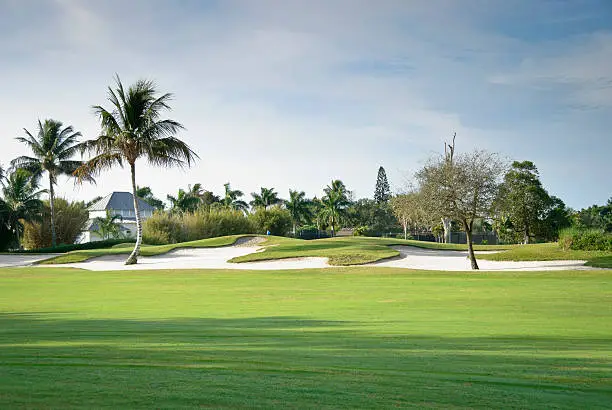 Photo of A picture of a golf course with trees surrounding