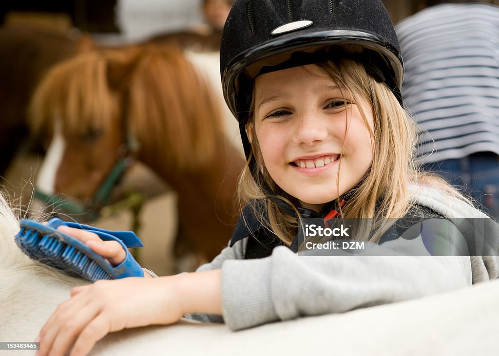 Girl and horses Little girl cleaning her pony with brush Horse Stock Photo
