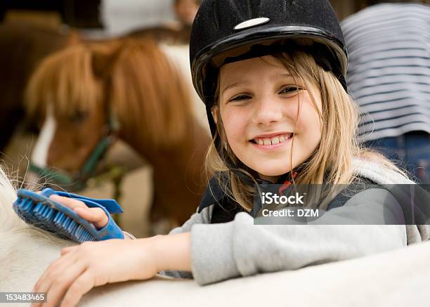 Girl And Horses Stock Photo - Download Image Now - Horse, Child, Brushing